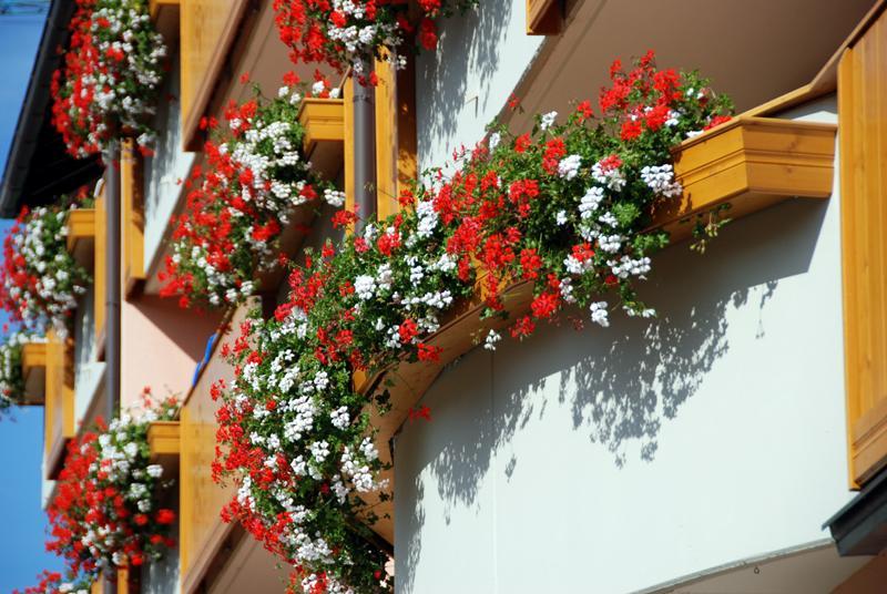 Residence Antares Andalo Luaran gambar